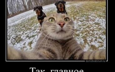 Так, главное спокойствие
