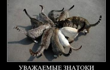 Уважаемые знатоки, минута пошла