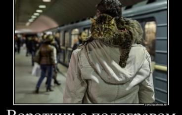 Воротник с подогревом