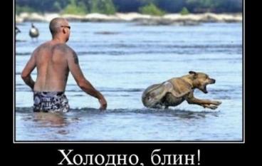 Холодно блин