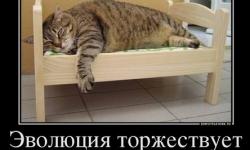 Эволюция торжествует