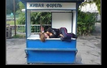 Жизнь прекрасна